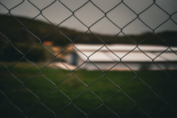 rusty iron wires and green area