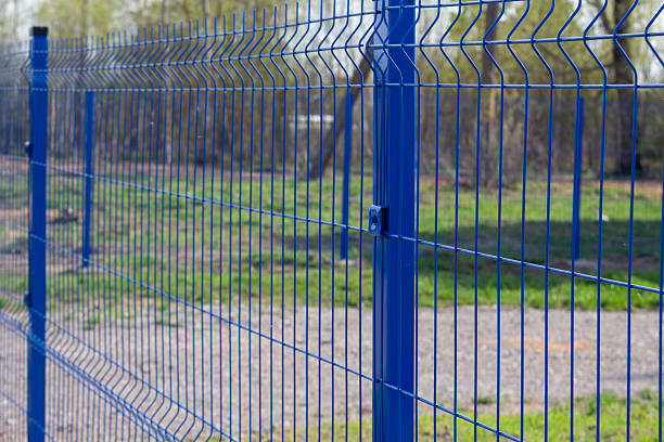 istockphoto 2211417268 612x612