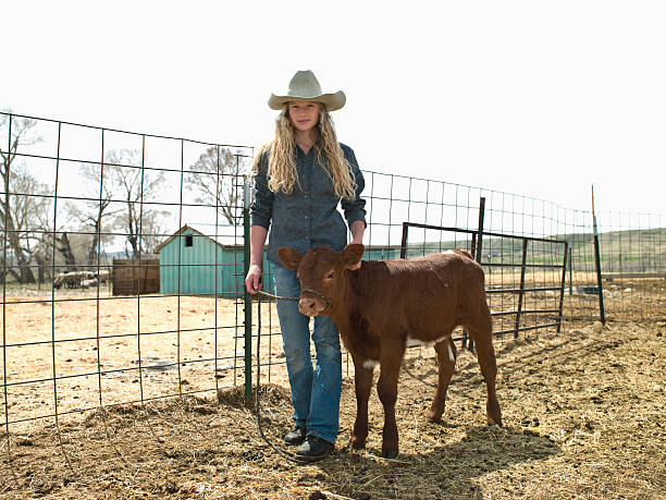 young cowgirl with 4 h calf on family ranch in big timber, montana