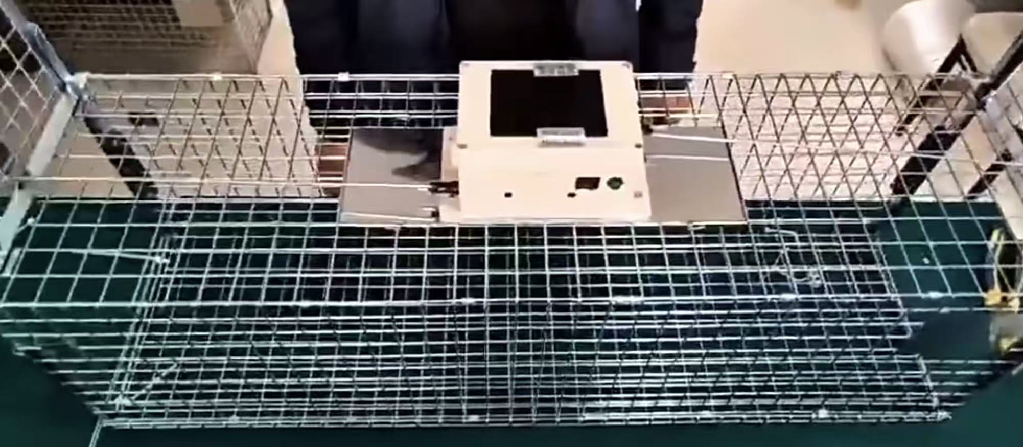 全自动智能红外线遥控捕捉救助笼