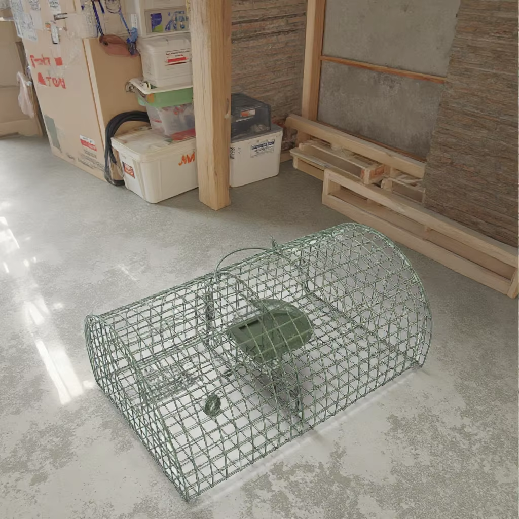图片40